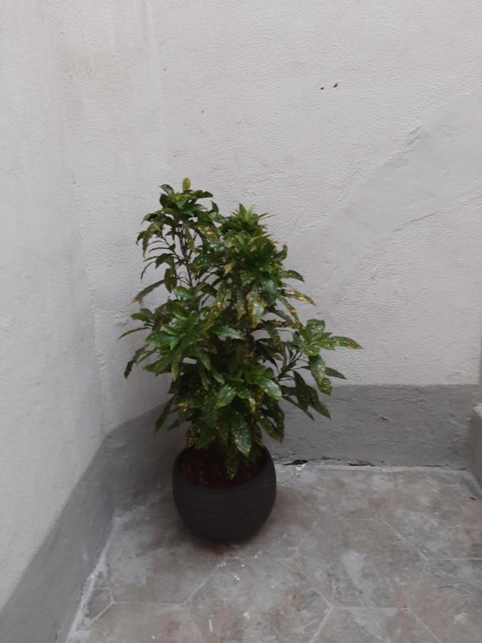 Al Crocifisso...Da Nonna Pia Salerno Exterior foto